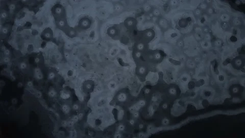 The river is on ice. Ice on the river. Lying cracked. Winter landscape. Stock Footage 233117147