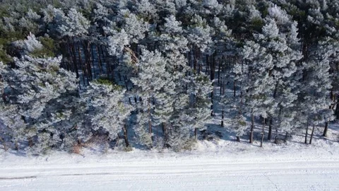 The river is on ice. Ice on the river. Lying cracked. Winter landscape. Stock Footage 233117194