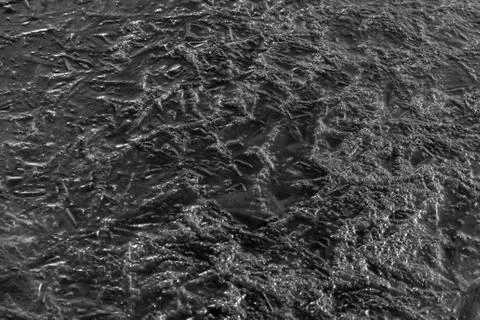 River ice texture background close up. Black and white Stock Photos