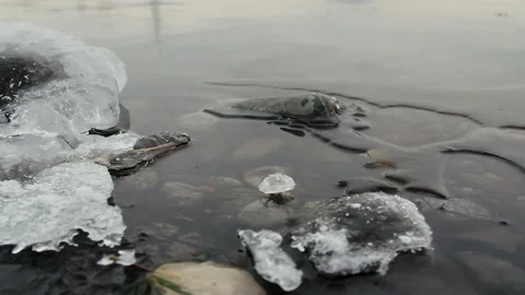 River is icebound. Ice on Surface. Winter. Cold. Camera Moves over Water on Rail Stock Footage 146877272