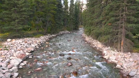 River on Icefield Parkway Video stock 134586946