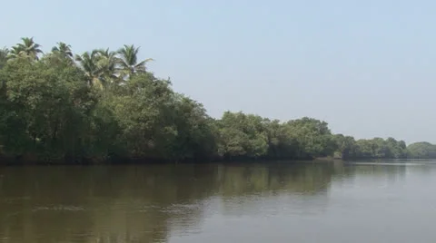 River india Stock Footage 23834900