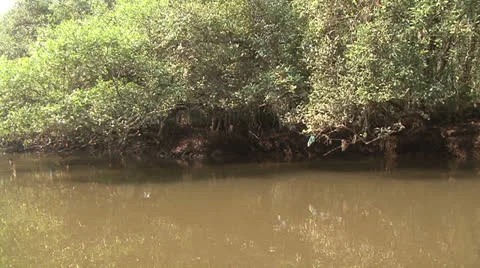 River india Video stock 23835047