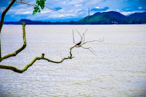 River in India Stock Photos