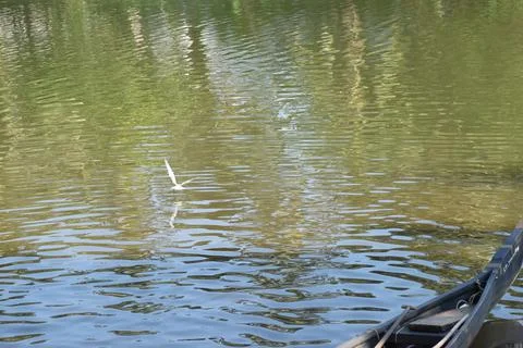 River in India Stock Photos