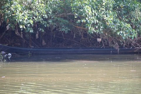 River in India Stock Photos