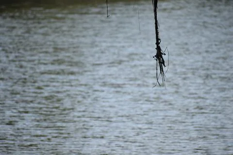 River in India Stock Photos