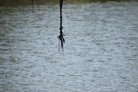 River in India Foto stock