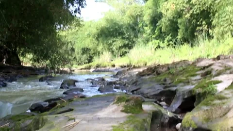River in Indonesia 動画素材 171719651