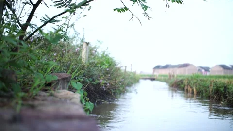 River irigation Stock Footage 156367821