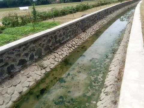 River irrigation channels for rice fields with low water dry season Stock Photos