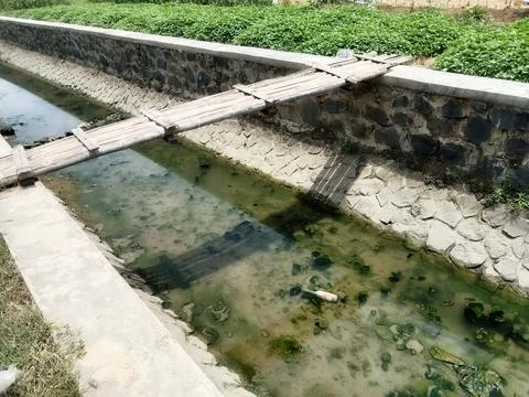 River irrigation channels for rice fields with low water dry season Stock Photos