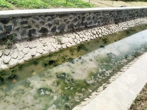 River irrigation channels for rice fields with low water dry season Stock Photos