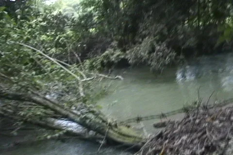 River in Jamaica 01 Stock-Footage 356798