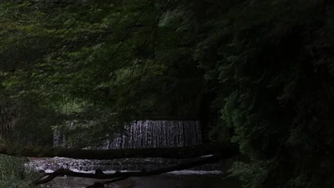 A river in a Japanese forest during the daytime Video stock 156697958