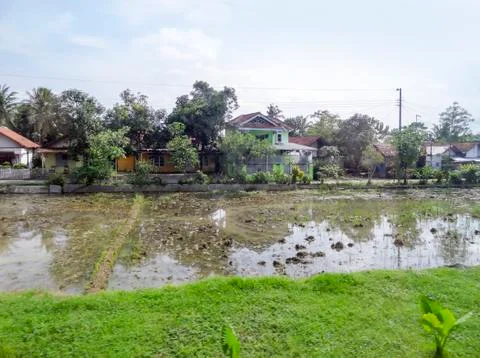River in Java Fotos de archivo