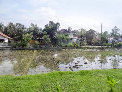 River in Java waterside scenery located in Java, a island of Indonesia Cop... Stock-Fotos