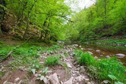 River Jizera Stock Photos