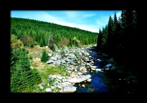 River in Jizerske mountain Stock Photos