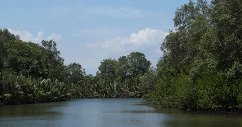 River journey Stock Footage 101492647