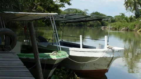 River journey Vídeos de archivo 101493015