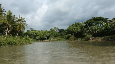 River journey in Rain Forest Stock Footage 101493437