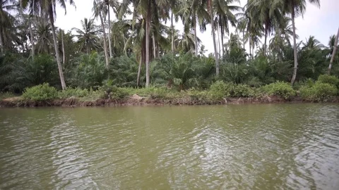 River journey in Rain Forest 스톡 동영상 101493469