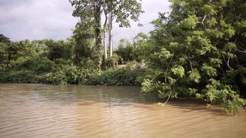 River journey in Rain Forest Stock-Footage 101493561