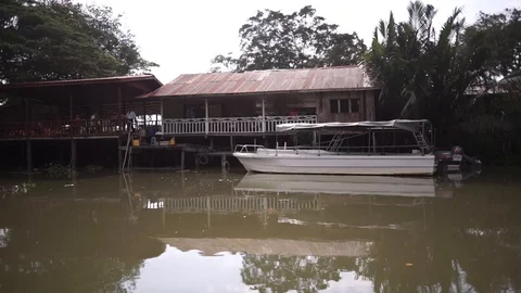 River journey in Rain Forest Video stock 101493571