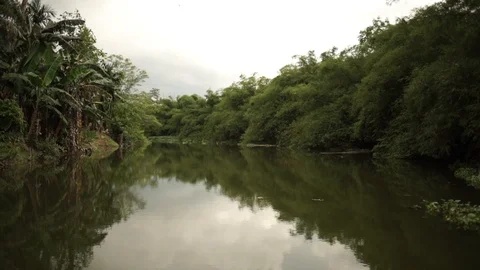 River journey in Rain Forest Stock Footage 101493768