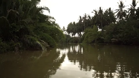 River journey in Rain Forest Stock Footage 101493794