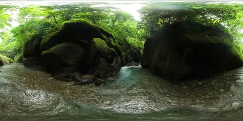 River in the jungle. 360-Degree view. Stock Footage 222965914