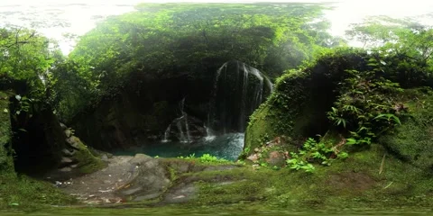 River in the jungle. 360-Degree view. Stock Footage 233194177