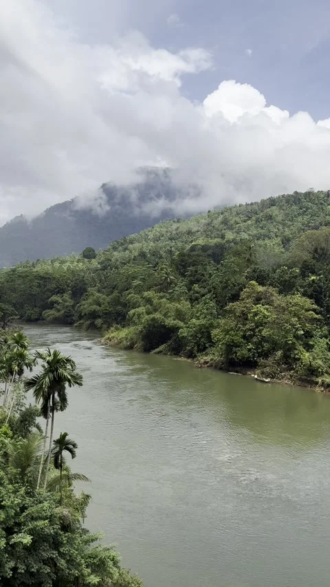 River, jungle and the mountains in one view Stock Footage 343769200