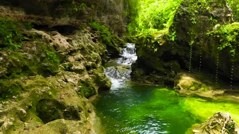 River in the jungle. Bohol, Philippines. Stock Footage 337444633