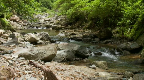 River in the jungle Stock Footage 555226