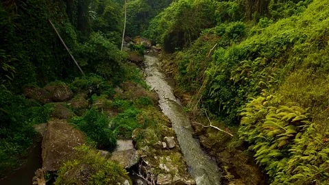 River in the jungle Stock Footage 106695693