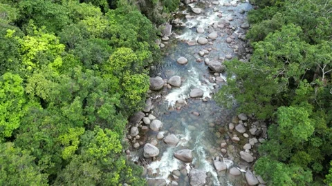 River in jungle Video stock 204995032