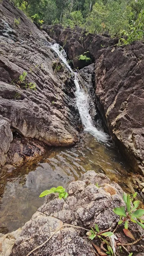 River in the jungle Stockbeeldmateriaal 319348486