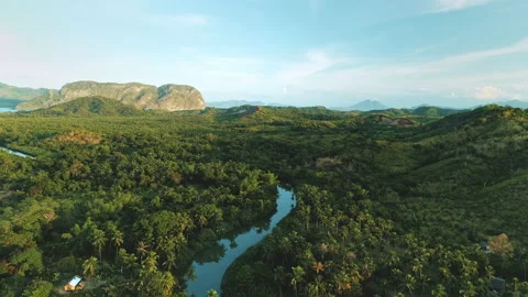 River at jungle forest, mountain valley aerial. Nobody tropic nature landscape Stock Footage 145355281