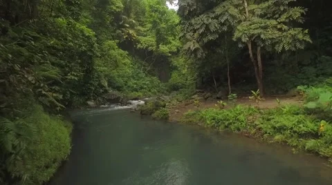 River in the jungle Mountains Stock Footage 63226310
