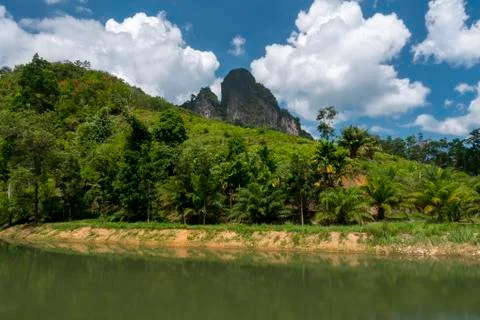 River in the jungle Stock Photos