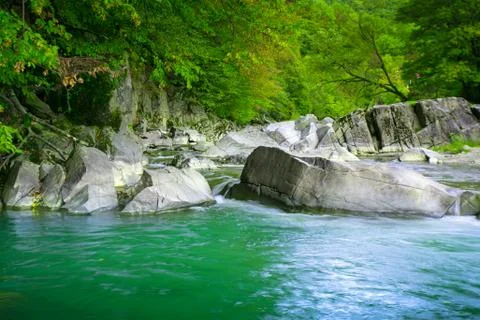 River in jungle Stock Photos