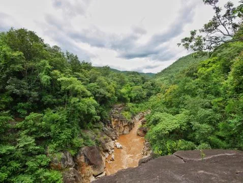River in the jungle Stock Photos