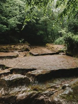 River into jungle Stock Photos