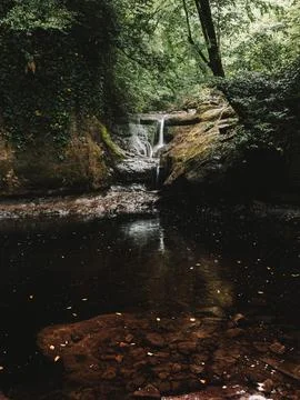 River into jungle Stock Photos