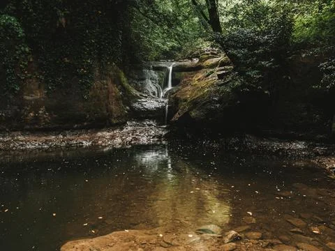 River into jungle Stock Photos
