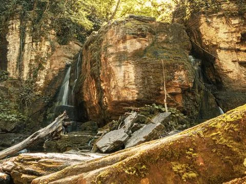 River into jungle 스톡 사진