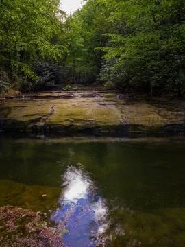 River into jungle Stock Photos