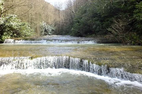 River into jungle Stock Photos